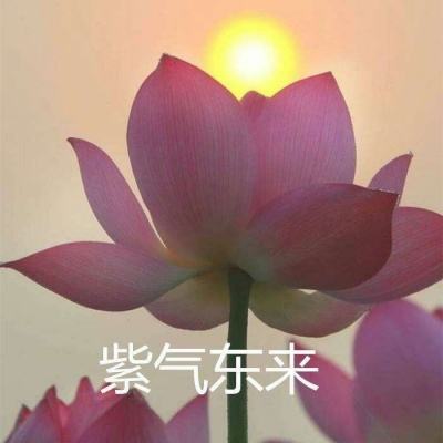 刀塔西游网易版下载